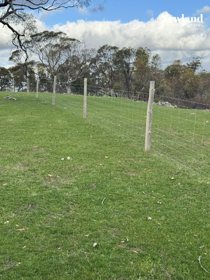 Click to view all images Lot 556 Kelly Road Undalya SA 5451 - Image 2