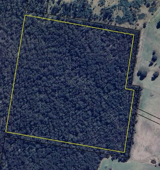 Click to view all images Lot 112 Bucky Springs Road Rosemeath NSW 2632 - Image 2