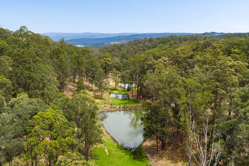 Click to view all images Lot 17 203 Collingwood Road Hampton QLD 4352 - Image 3