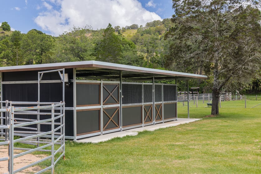 Click to view all images 157 Middle Creek Road Federal QLD 4568 - Image 3