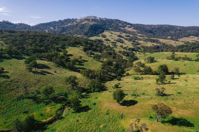 Click to view all images 7390 New England Hwy Willow Tree NSW 2339 - Image 3
