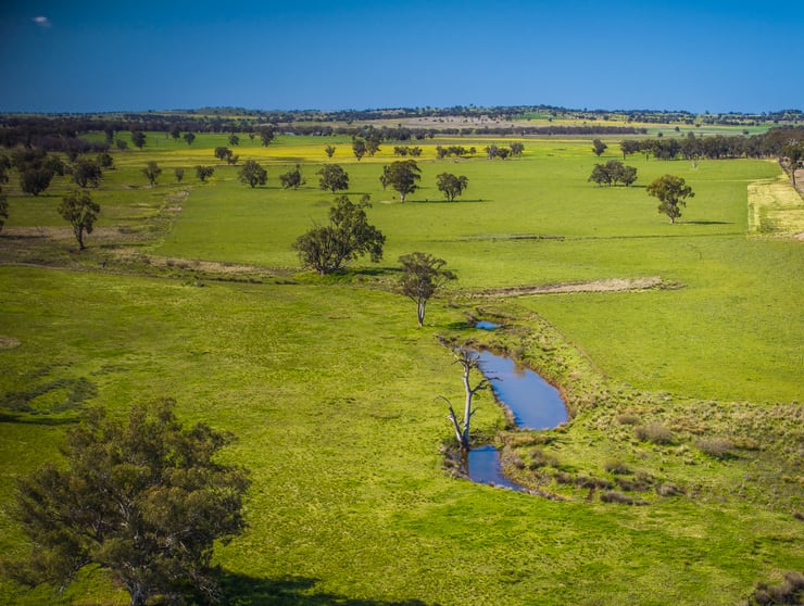 59 Mia Mia Road Purlewaugh NSW 2357 - Image 1