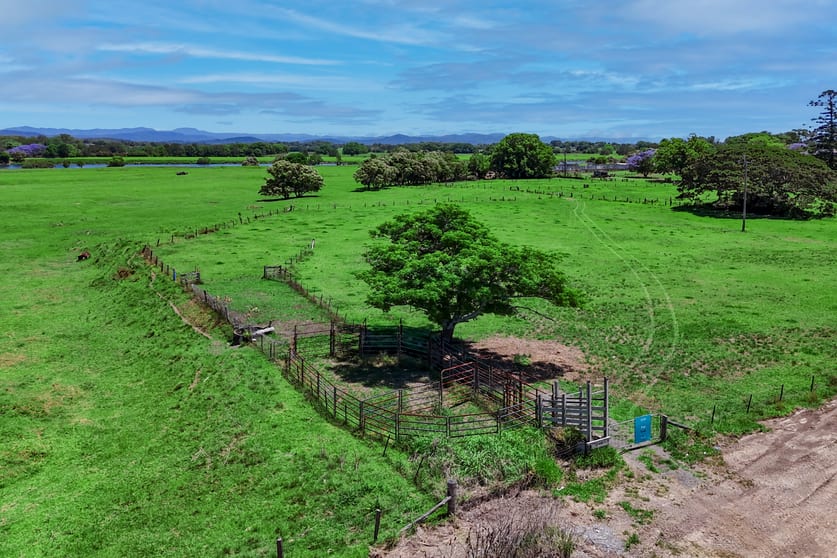 West Kempsey NSW 2440 - Image 3