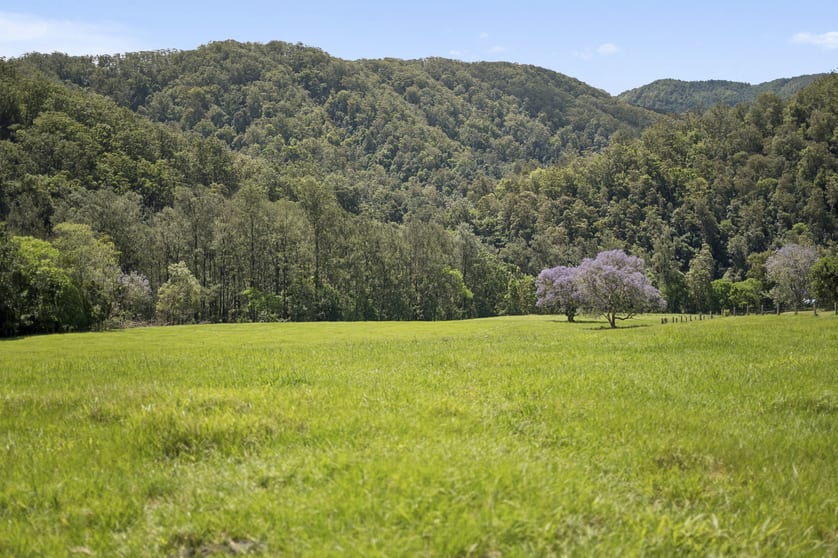 1314 Darkwood Road Bellingen NSW 2454 - Image 1