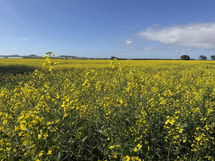 Lot 8 Edward Road Narngulu WA 6532 - Image 1