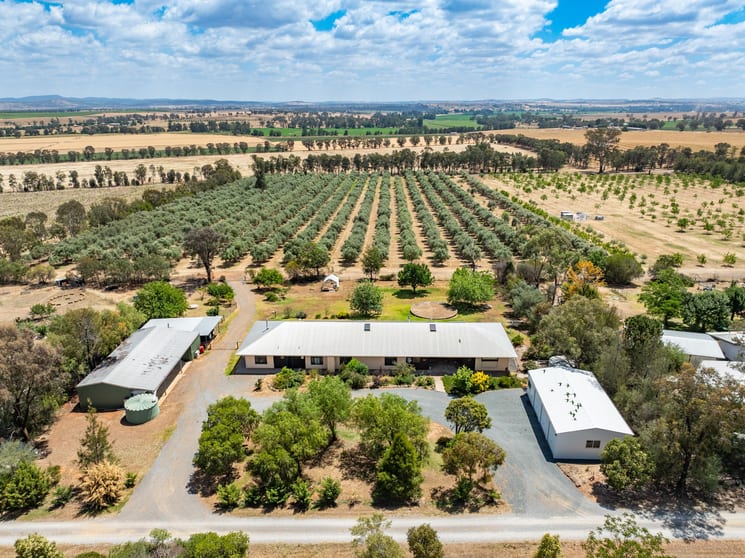 20/444 Rivers Road Canowindra NSW 2804 - Image 1