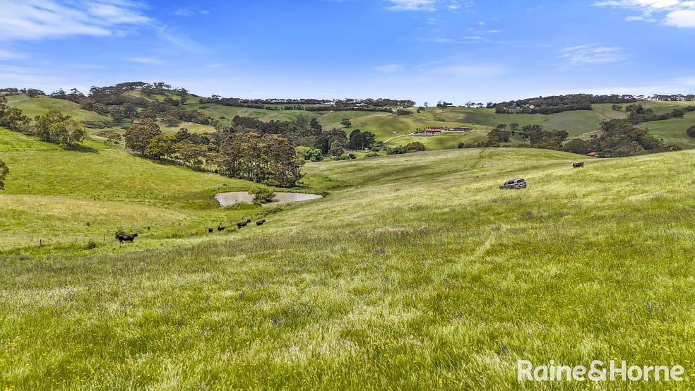 Click to view all images 5 Reid Road Paris Creek SA 5201 - Image 3