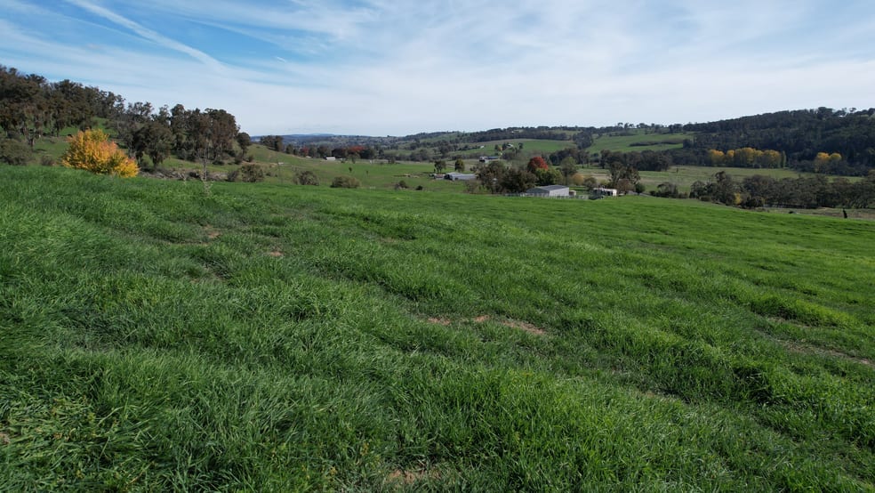 Click to view all images 580 Batlow Road Tumbarumba NSW 2653 - Image 1