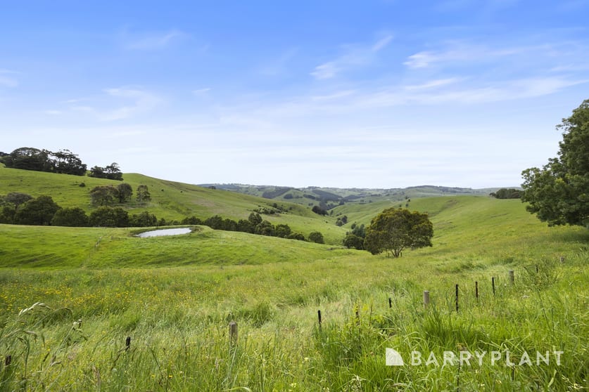 220 Ross And Witherdens Road Strzelecki VIC 3950 - Image 2