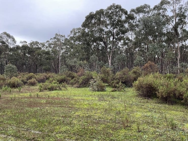 _ CA's 32, 33A, 34 & Lot 1 Off Gunyah Track Wellsford VIC 3551 - Image 1