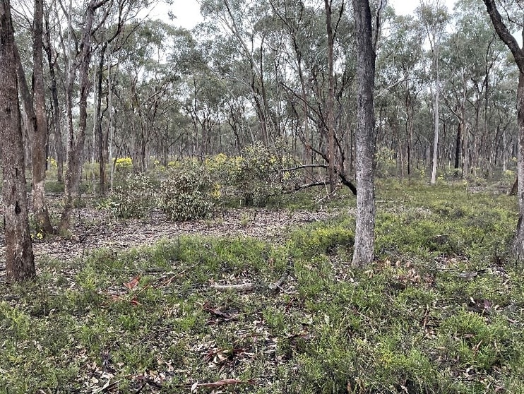 _ CA's 32, 33A, 34 & Lot 1 Off Gunyah Track Wellsford VIC 3551 - Image 2