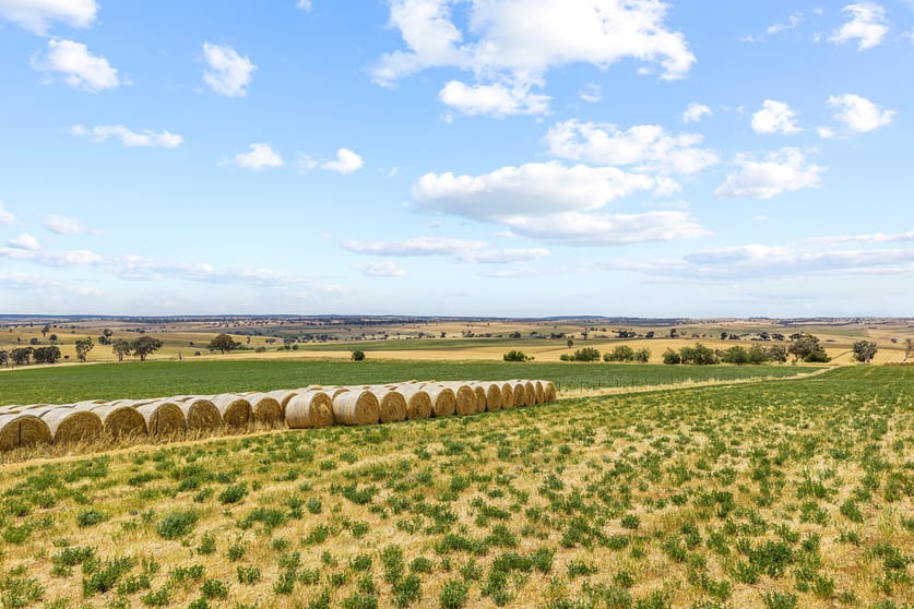 Click to view all images 215 Holman Road Murrumburrah NSW 2587 - Image 2
