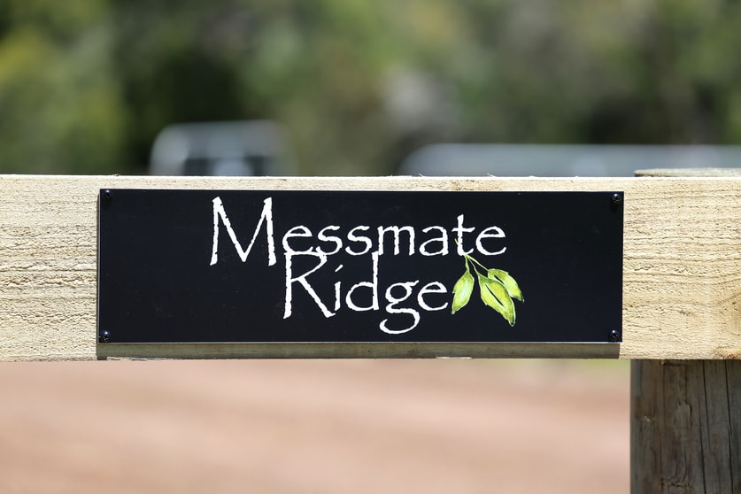 536 Melrose Road Cooriemungle VIC 3268 - Image 2