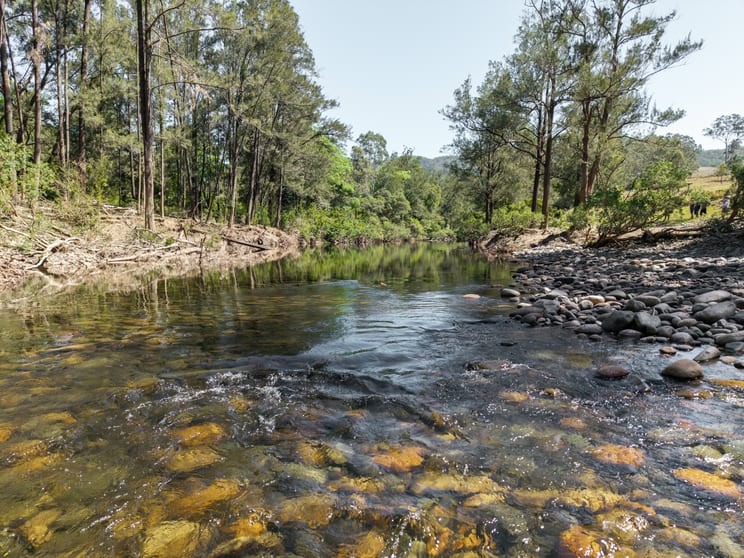689 Manchester Road, Via Gloucester Bindera NSW 2422 - Image 3