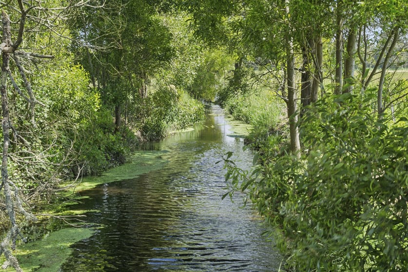Click to view all images 2520 Carlisle Road Carlisle River VIC 3239 - Image 2