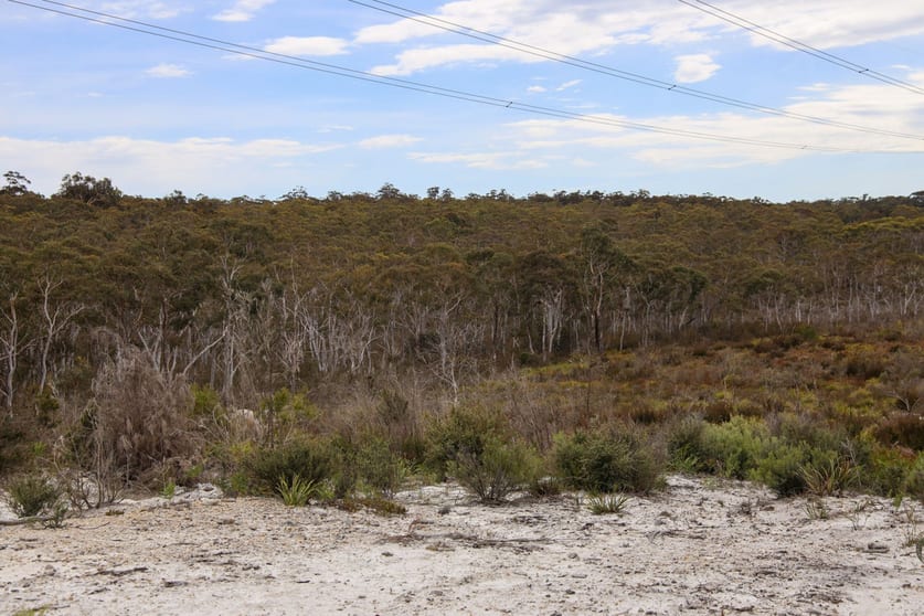 Click to view all images 1887 Oallen Ford Road Oallen NSW 2622 - Image 2