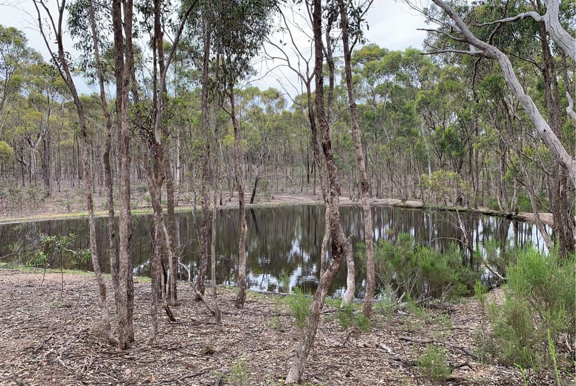 Click to view all images Lot 12 Heathcote-Nagambie Road Moormbool West VIC 3523 - Image 3