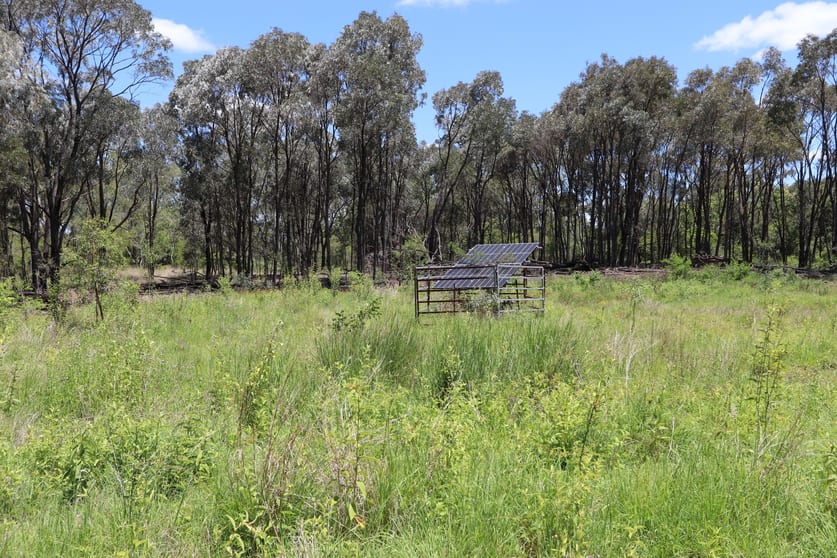 Click to view all images 92 Weale Creek Road Dalma QLD 4702 - Image 3