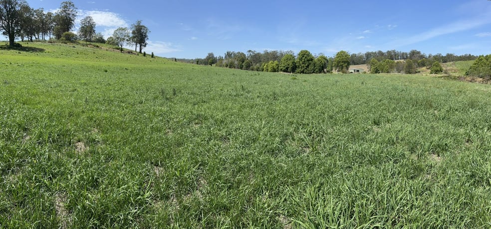Click to view all images 45 Moores Lane Eungai Creek NSW 2441 - Image 2