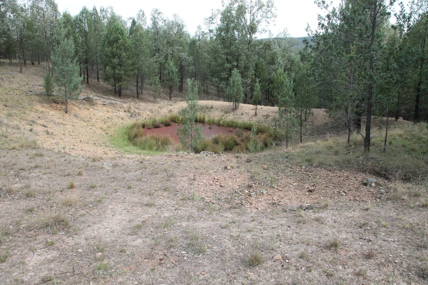 Click to view all images Lot 19 Mountain Creek Road Tenterfield NSW 2372 - Image 2