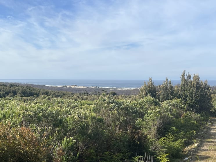 Click to view all images . Wilsons Road Granville Harbour TAS 7469 - Image 1