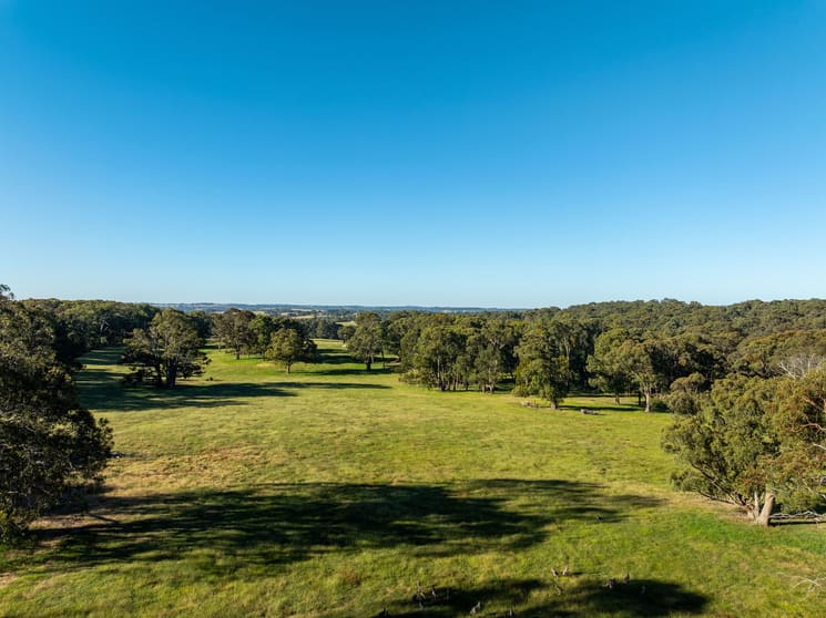 Click to view all images Terip Terip VIC 3719 - Image 1