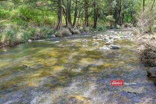 Click to view all images Lots 76-78 Glen Ward Road, Glen Ward VIA Gloucester NSW 2422 - Image 3
