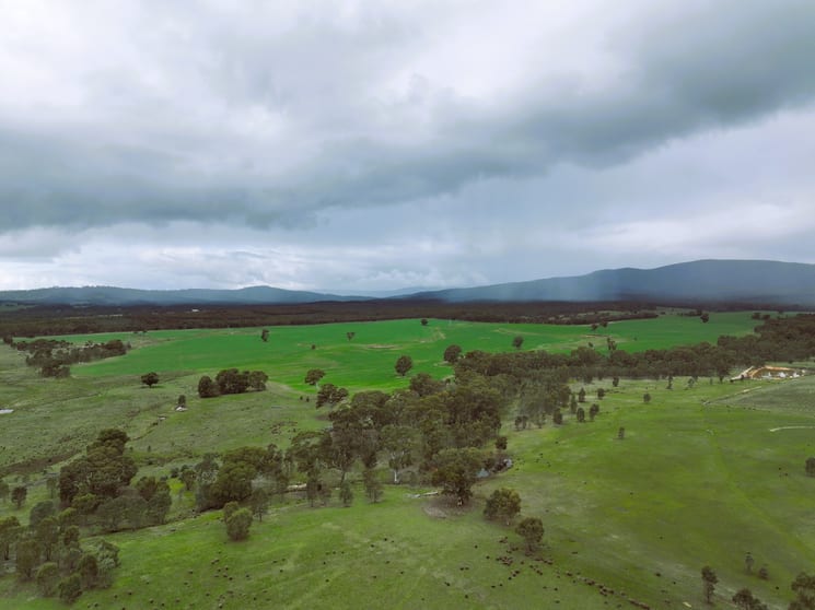 91 Murrells Lane Frenchmans VIC 3384 - Image 3