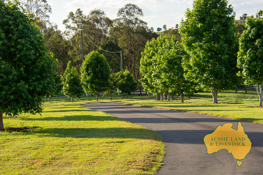 Click to view all images 420 HODGLEIGH NORTH ROAD Hodgleigh QLD 4610 - Image 3