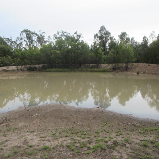 Click to view all images Tara QLD 4421 - Image 2