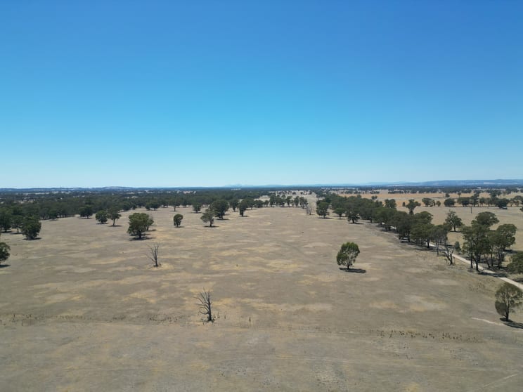 Click to view all images Cnr Clohessy Road and Escort Bridge Road Norong VIC 3682 - Image 3