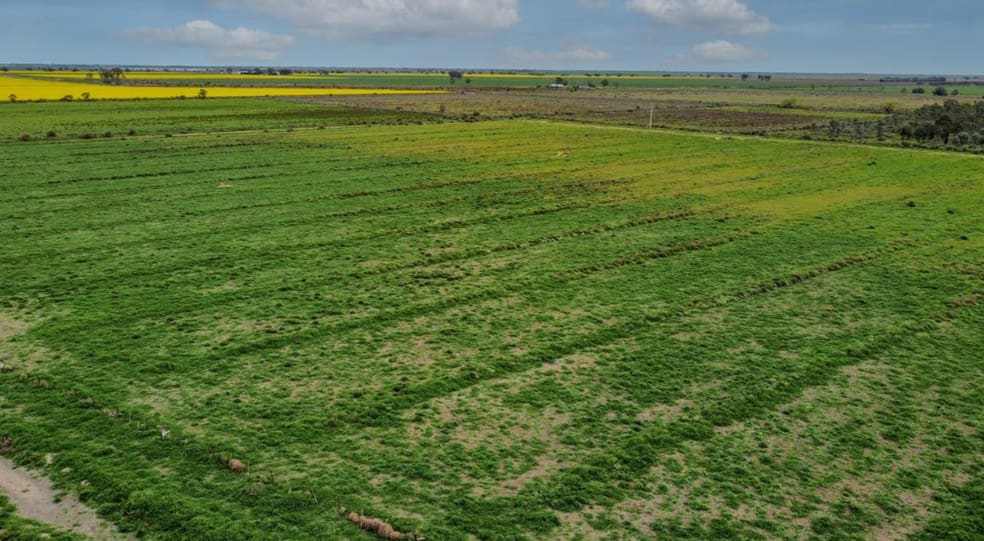 1D McAlister Road Benjeroop VIC 3579 - Image 3