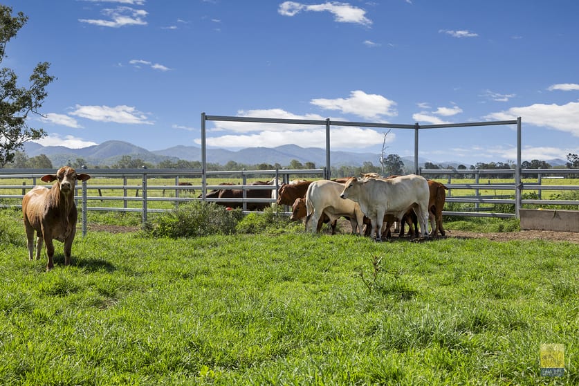 Click to view all images 85 Colinwood Lane Boyne Valley QLD 4680 - Image 1