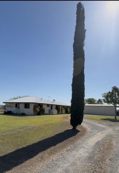 49 Mckenzie Road Alton Downs QLD 4702 - Image 1