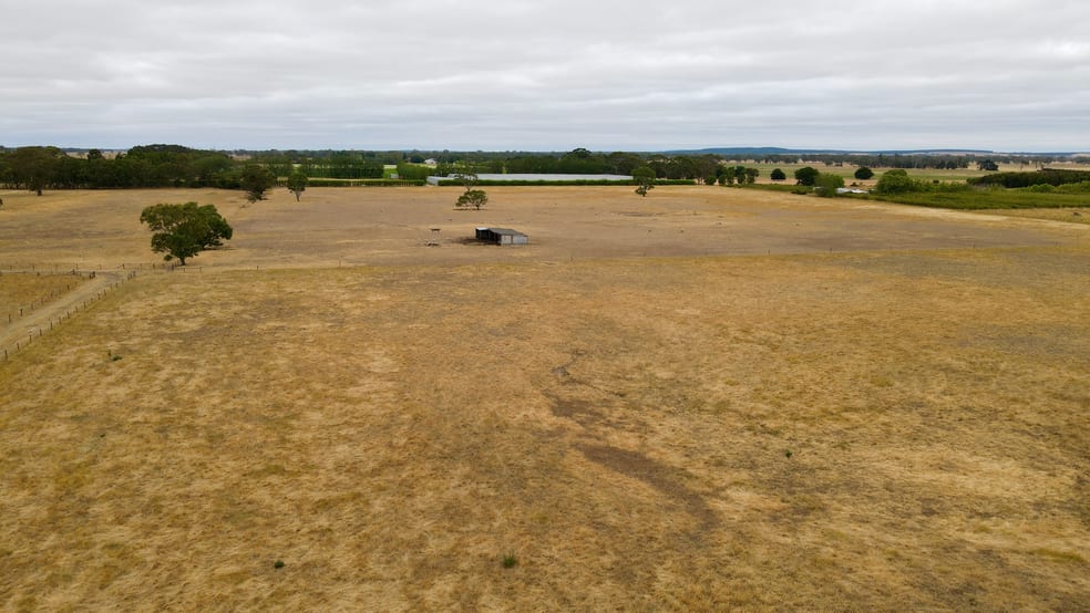 Lot 899 Mount McIntyre Road Kalangadoo SA 5278 - Image 3