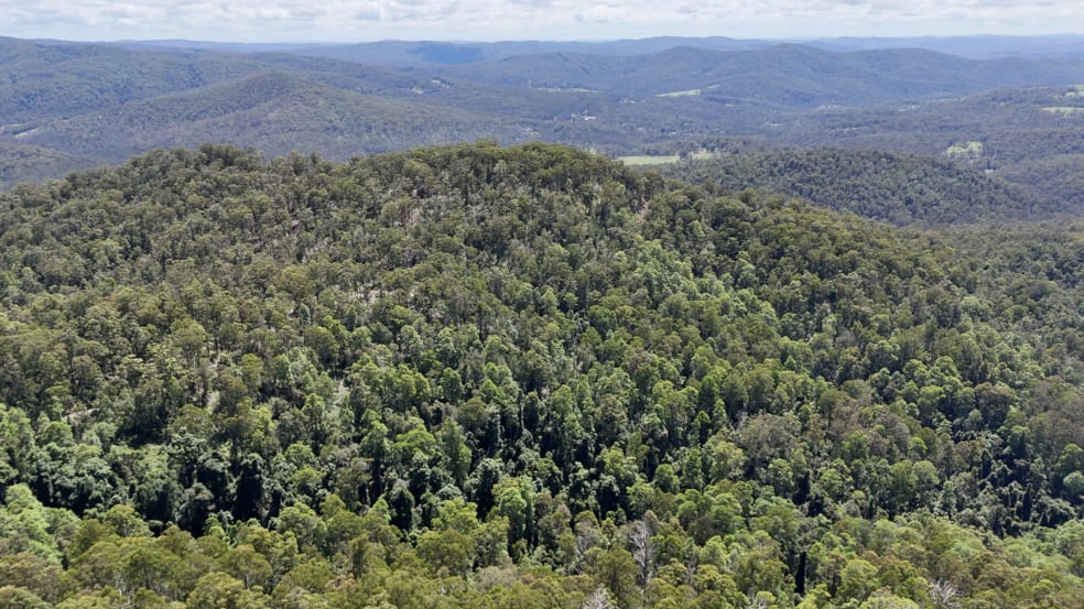 Click to view all images 191 Sheepstation Creek Road Dundurrabin NSW 2453 - Image 3
