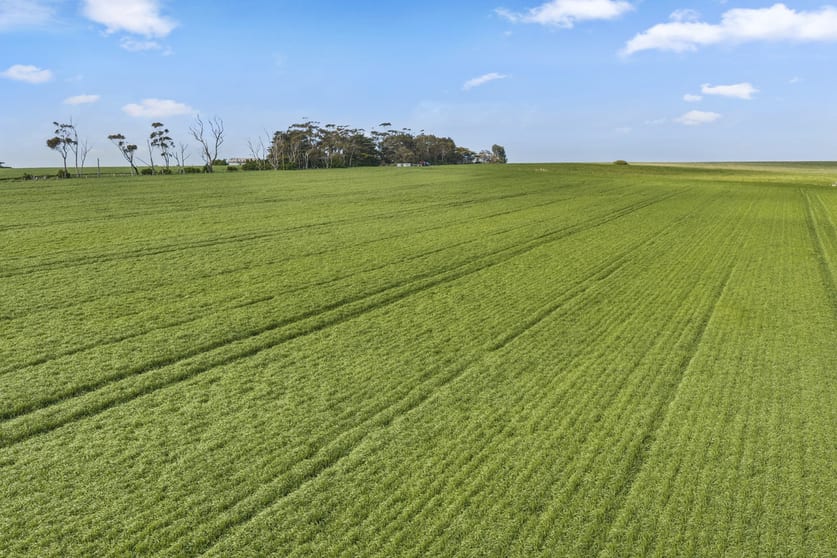 2310 Colac-Ballarat Road Weering VIC 3251 - Image 2