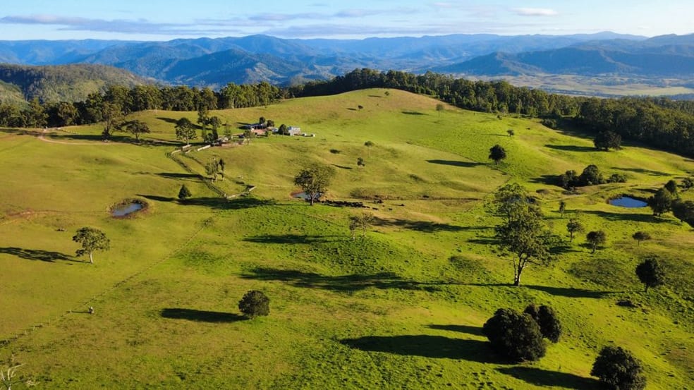 Click to view all images 669 Costigans Road Yarras NSW 2446 - Image 1
