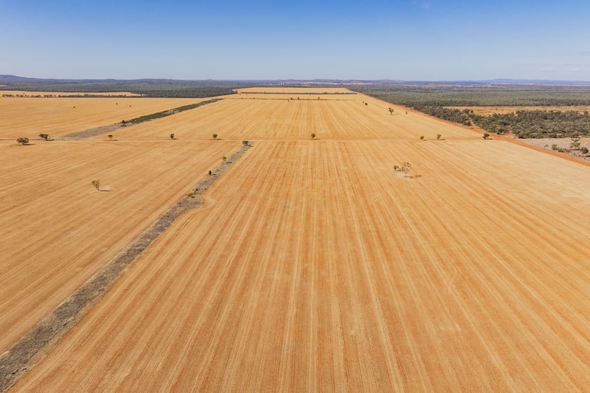 Click to view all images 2880 Tallebung Road Condobolin NSW 2877 - Image 1