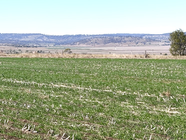 Click to view all images Lot 50 Rosenberger Road Wyreema QLD 4352 - Image 3