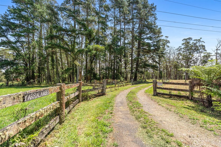 Click to view all images 1845 Jamberoo Mountain Road Robertson NSW 2577 - Image 3