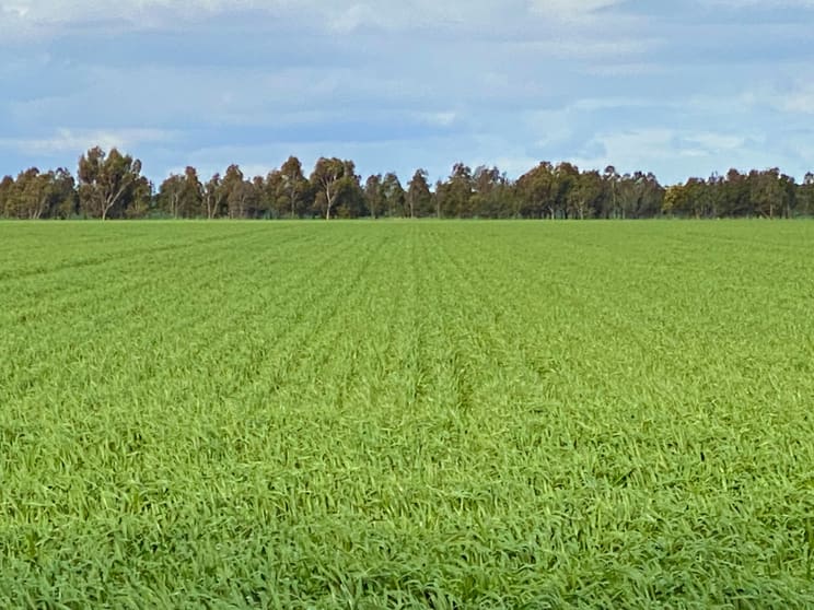 Click to view all images 1205 Lower Darlington Road Lismore VIC 3324 - Image 1