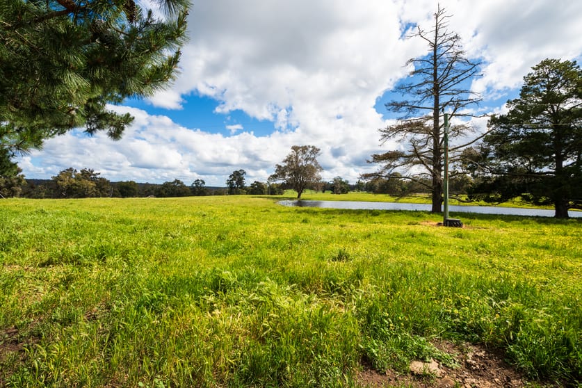 Click to view all images 2646 Muir Highway (Upper Warren) Manjimup WA 6258 - Image 3
