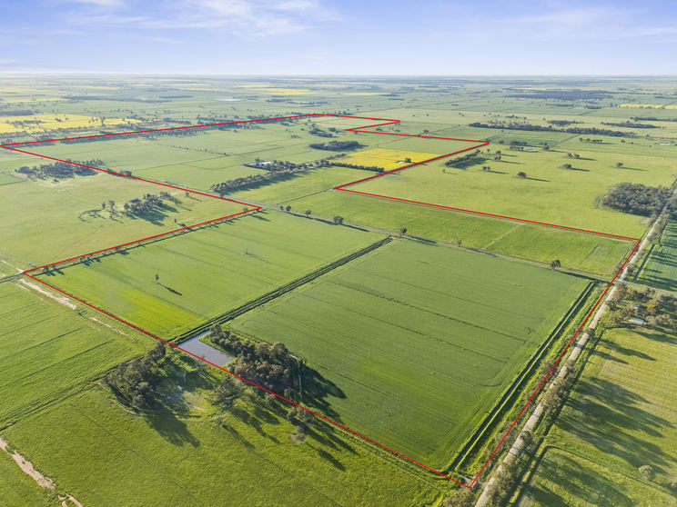 520 Mayrung Road Finley NSW 2713 - Image 1