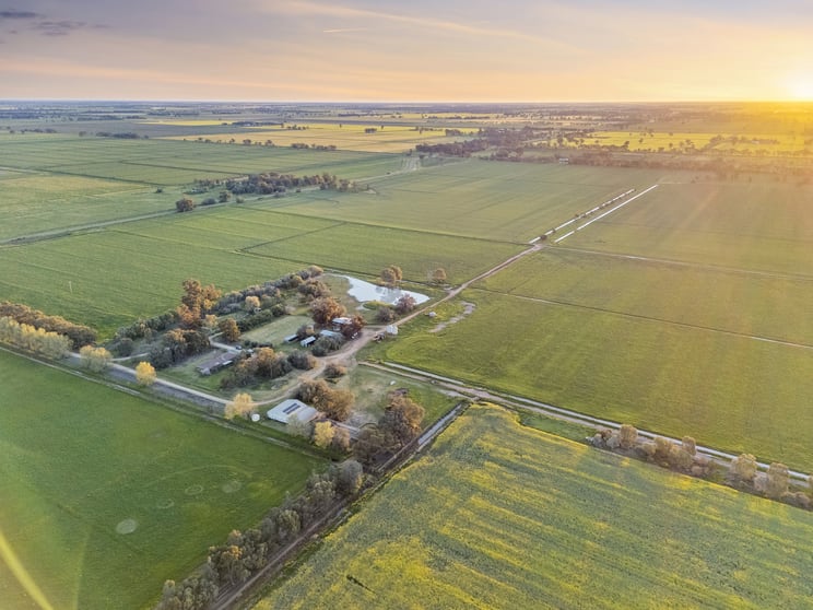 520 Mayrung Road Finley NSW 2713 - Image 3