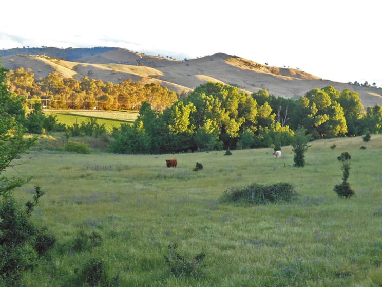 Click to view all images 30 Hanley & Moon Street Gundagai NSW 2722 - Image 3