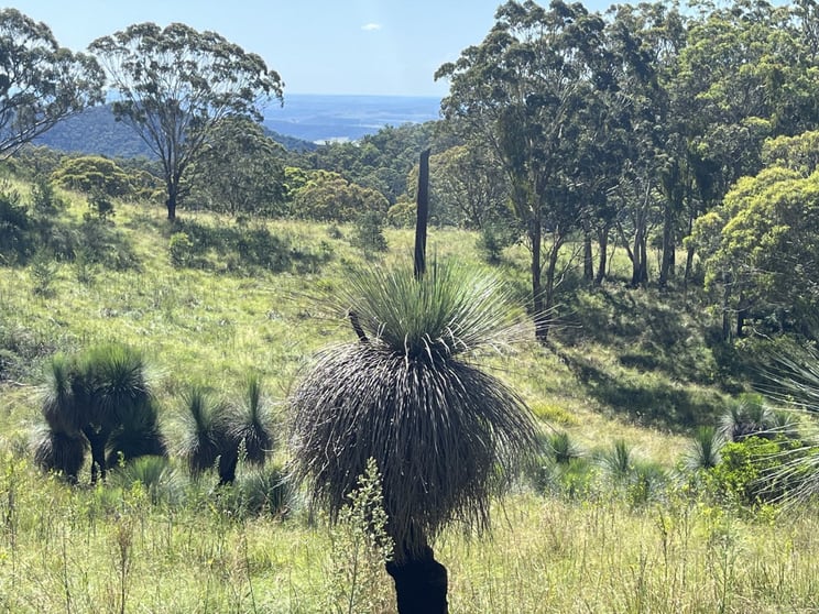 Lot 1/ Dormans Gully Bunya Mountains QLD 4405 - Image 3