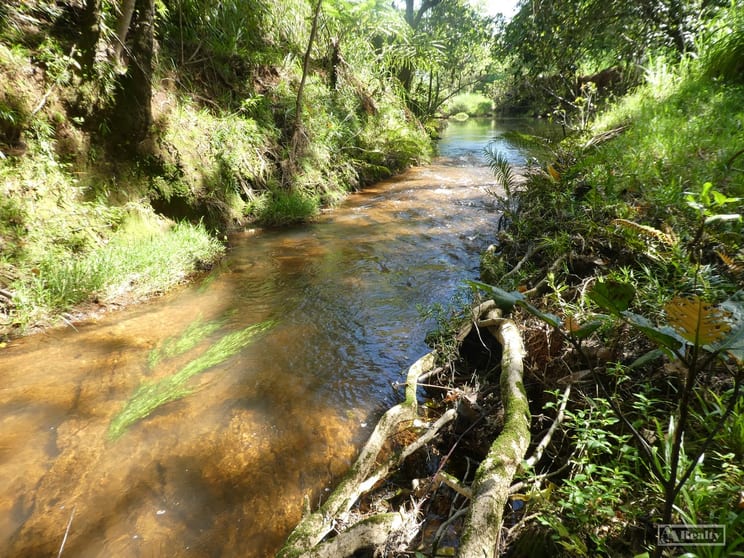 Click to view all images L 18 Camarlinghi Road Daradgee QLD 4860 - Image 3