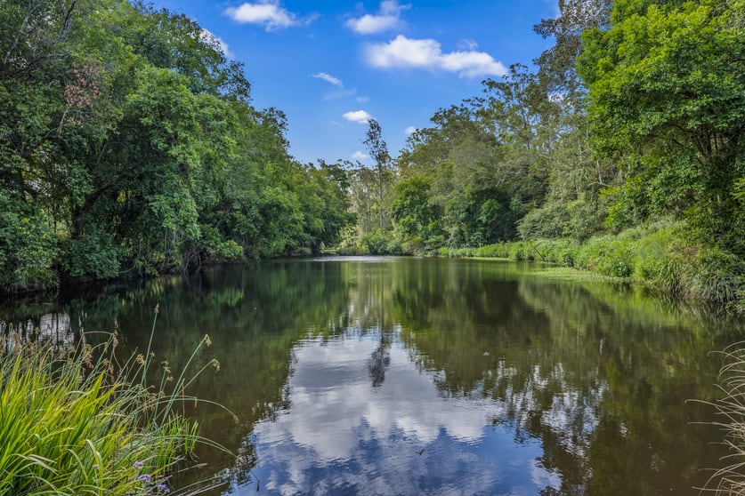 Click to view all images 80 Dargavilles Road Nabiac NSW 2312 - Image 1