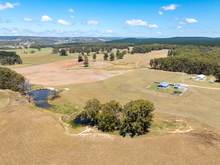 951 Shooters Hill Road Chatham Valley NSW 2787 - Image 2